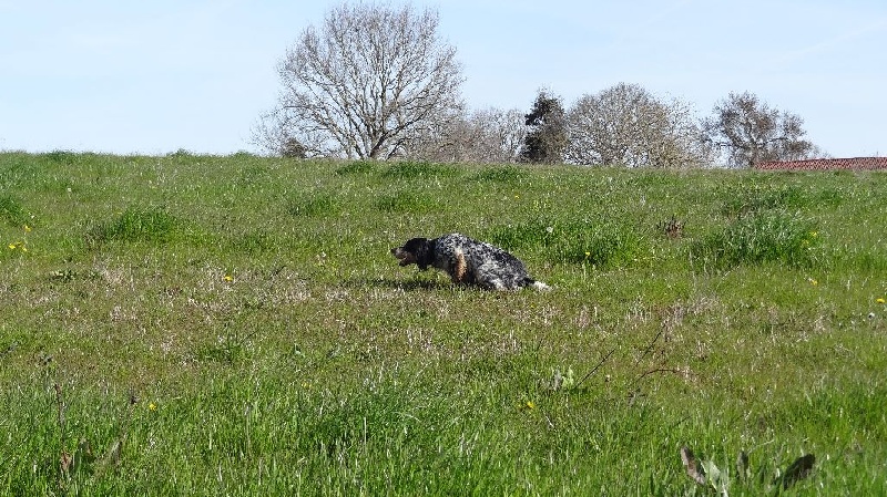 Entrainement de Printemps 2015