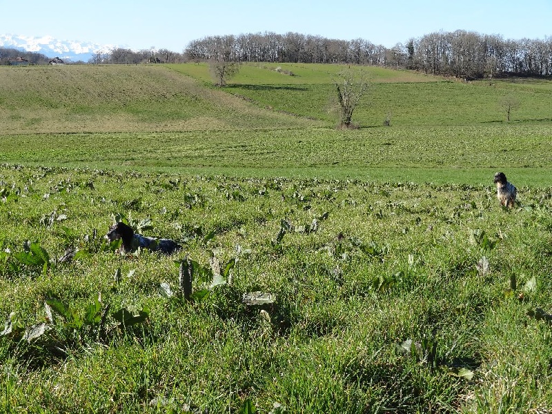 Entrainement de Printemps 2014.